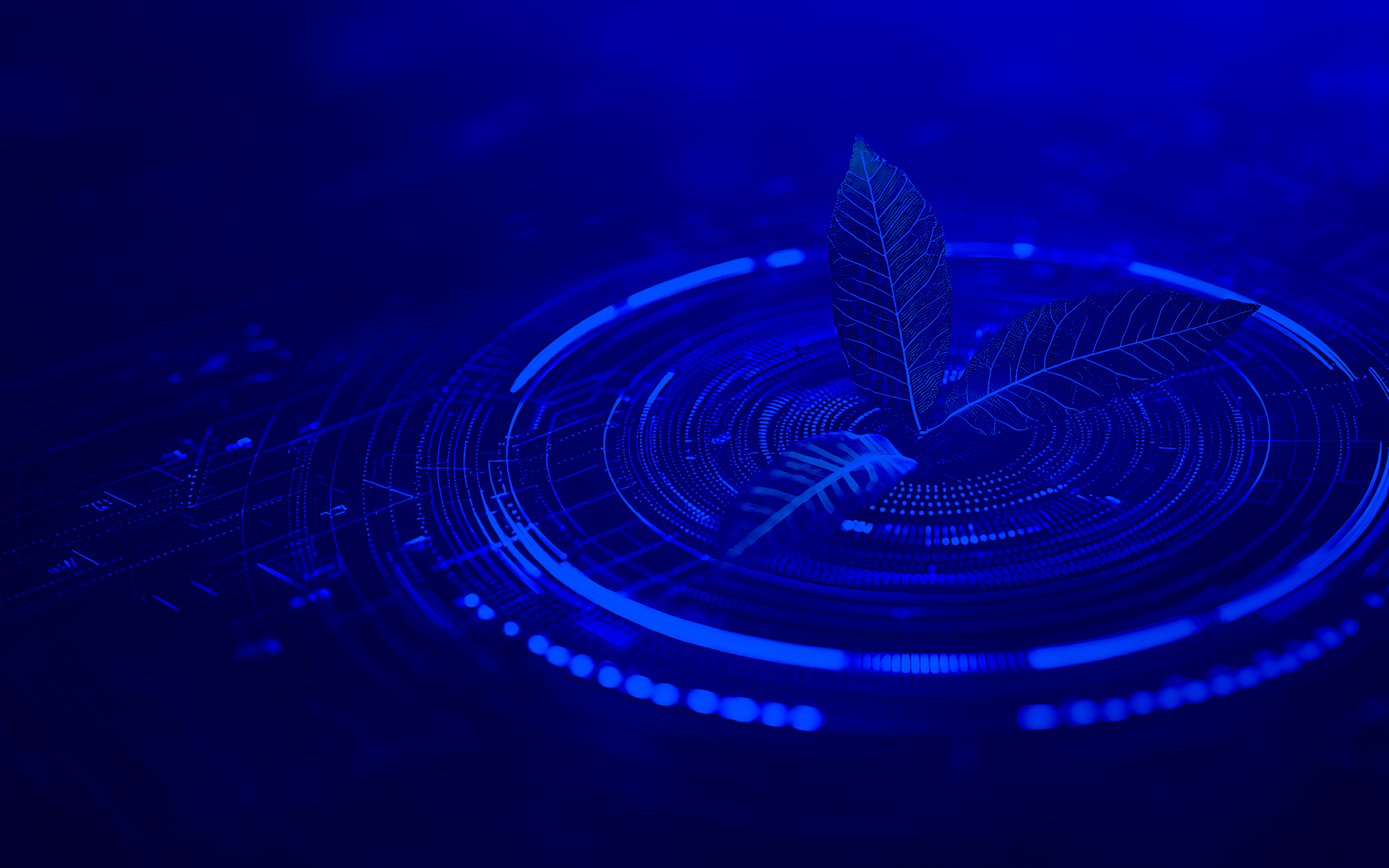 Sürdürülebilir teknolojiler, sürdürülebilir büyüme